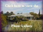 The Arboretum at Caswell Beach-Photographs